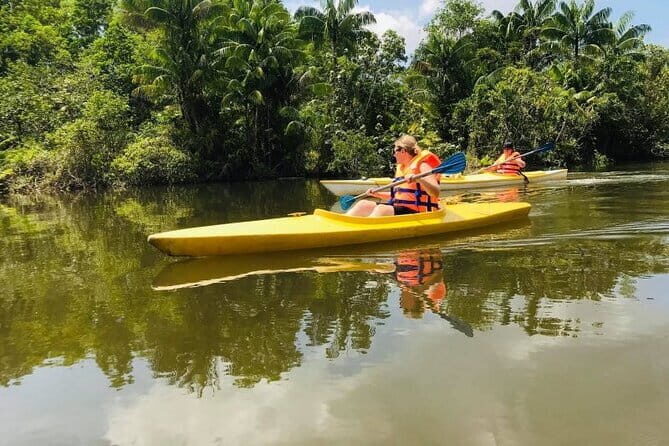 Phu Quoc Cua Can river Full Day Tour - Practical Details: What You Need to Know