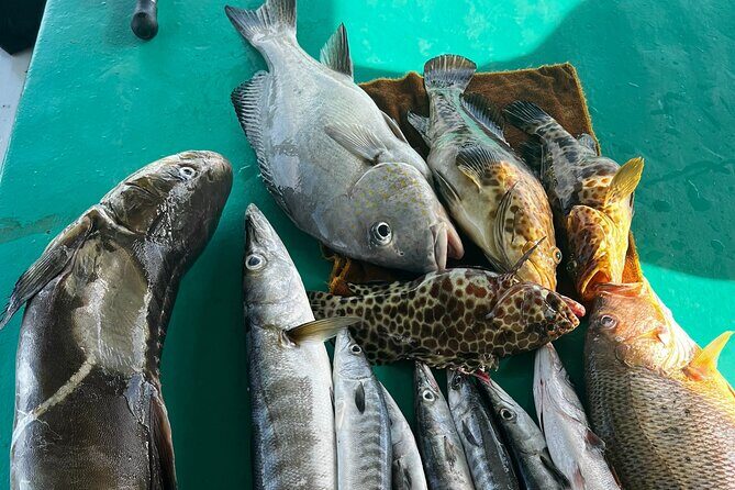 Phu Quoc Deep Fishing Tour - An In-Depth Look at the Phu Quoc Deep Fishing Tour