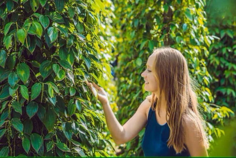 Phu Quoc: Hon Thom Cable Car & Sun World Nature Park Tour - Who Should Consider This Tour?