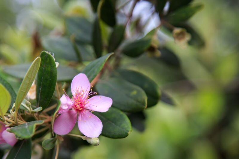 Phu Quoc Land 1: Southern Tour & Sao Beach - Key Points