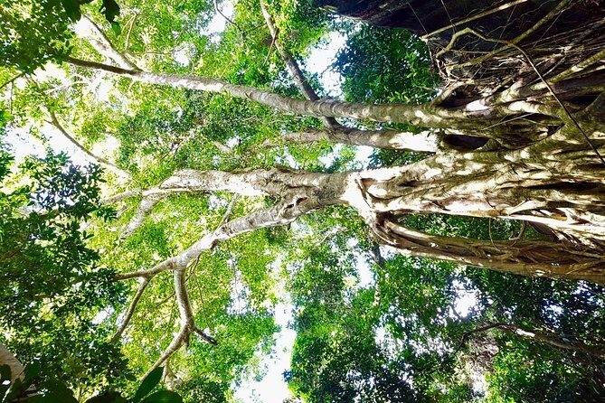 Phu Quoc Private Trekking Tour - Why This Tour Offers Great Value