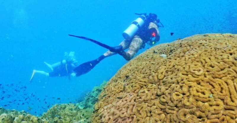 Phu Quoc: Scuba Diving Experience for All Levels - Key Points