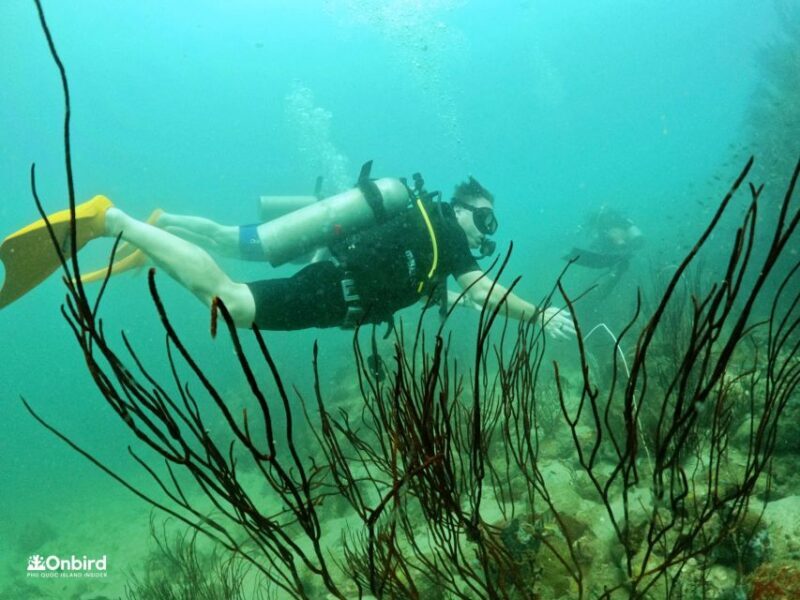 Phu Quoc: Scuba Diving Experience for All Levels - FAQ