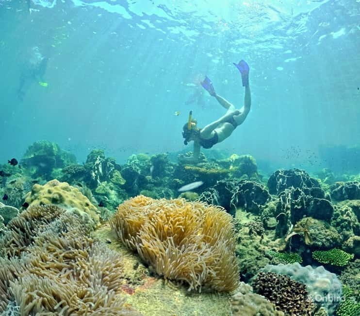 Phu Quoc Speedboat Pro Snorkeling: 4 Islands-2 Reefs & Meal - FAQ