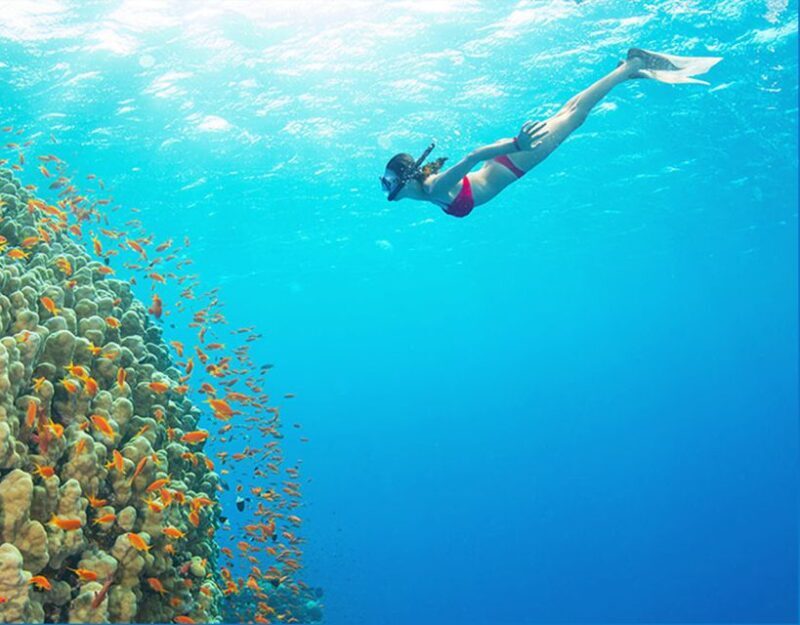 Phu Quoc: Speedboat Tour of 4 Islands with Snorkeling & BBQ - Logistics, Group Size, and Weather Considerations