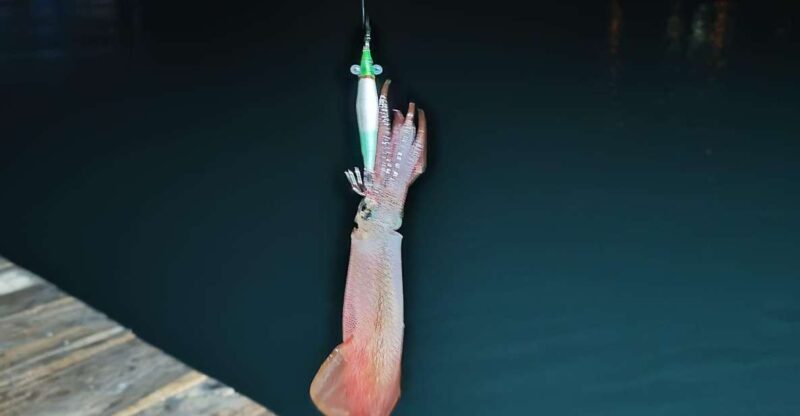 Phu Quoc: Squid Fishing Tour with sunset views & dinner - Who Should Consider This Tour?