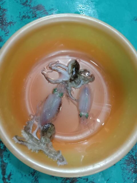 Phu Quoc: Squid Fishing Tour with sunset views & dinner - Final Thoughts