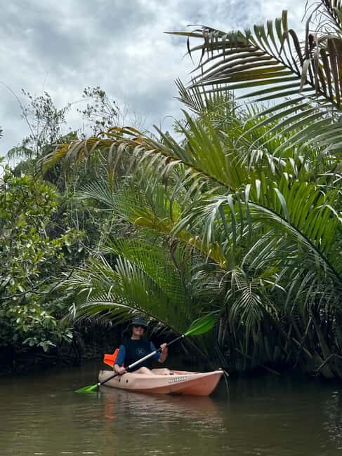Phu Quoc: Starfish Beach, Kayaking, and Lunch Day Trip - Key Points