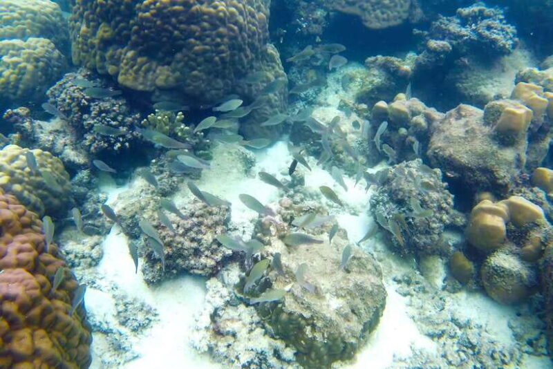 PHU QUOC TRIP 2: 2 ISLANDS BY BOAT - A Closer Look at the Tour Experience