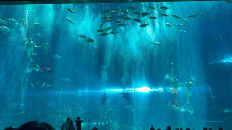 Phu Quoc VinWonders Theme Park And Safari Wildlife Tour - Key Points