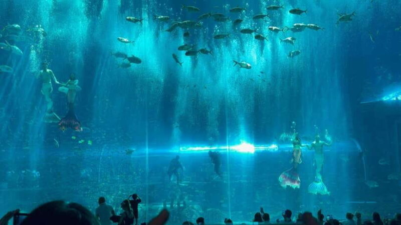 Phu Quoc VinWonders Theme Park And Safari Wildlife Tour - A Detailed Look at the Experience