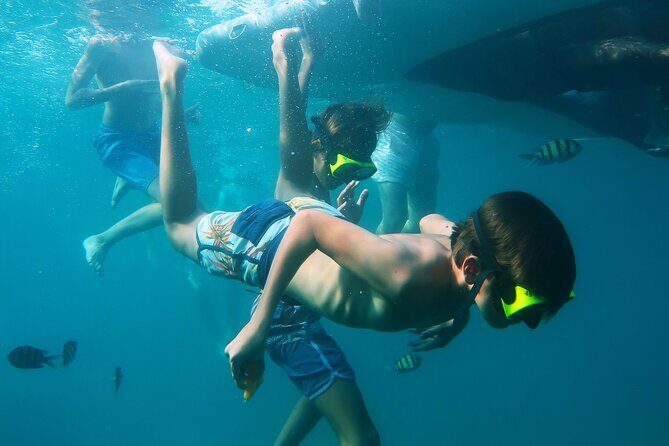 Phuket 3 Khai Island Speedboat With Snorkeling (Half or Full Day) - Final Thoughts