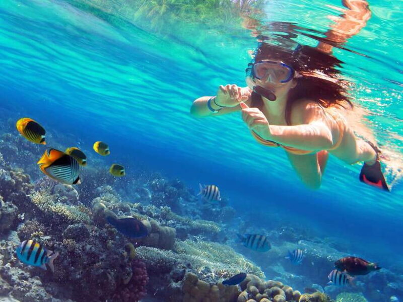 Phuket: 3 Khai Islands Snorkeling and Relaxation Tour - A Deep Dive into the Phuket 3 Khai Islands Snorkeling and Relaxation Tour