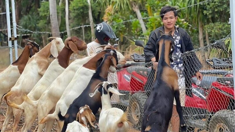Phuket: ATV Ride with Secret Sea Viewpoints and Swing - Potential Drawbacks & Considerations