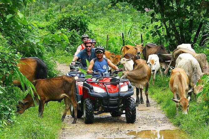 Phuket ATV Seaview On Tour - FAQ