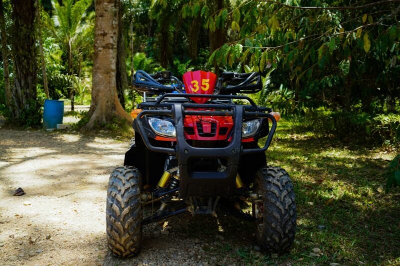Phuket: ATV Tour with Sea Views and Big Buddha Temple - Key Points
