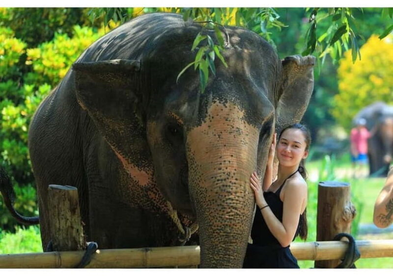 Phuket: Bamboo Rafting, ATV (Optional), Elephant Bathing. - FAQ