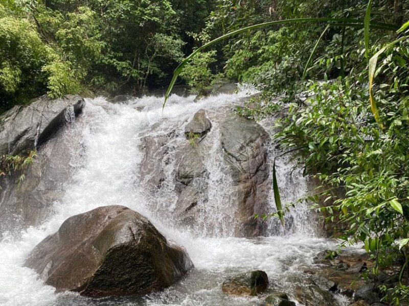 Phuket: Bamboo Rafting, Monkey Cave, and ATV Option - The Sum Up: Who Will Appreciate This Tour?