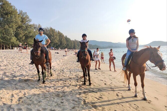 Phuket Beach and Horse Rides 1 Hour Experience - A Detailed Look at the Phuket Beach Horseback Ride