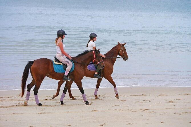 Phuket Beach and Horse Rides 1 Hour Experience - FAQ