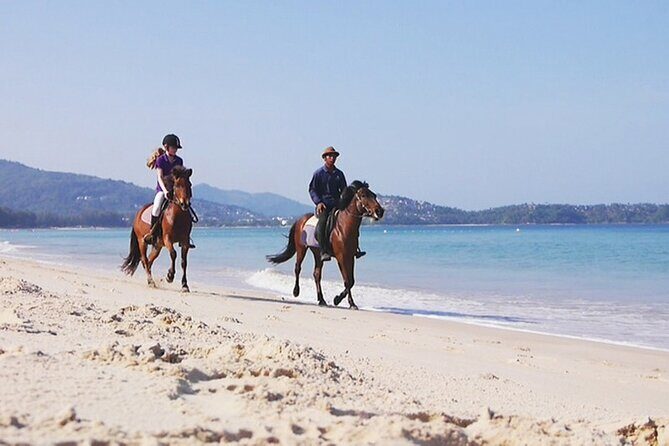 Phuket Beach and Horse Rides 1 Hour Experience - Final Thoughts