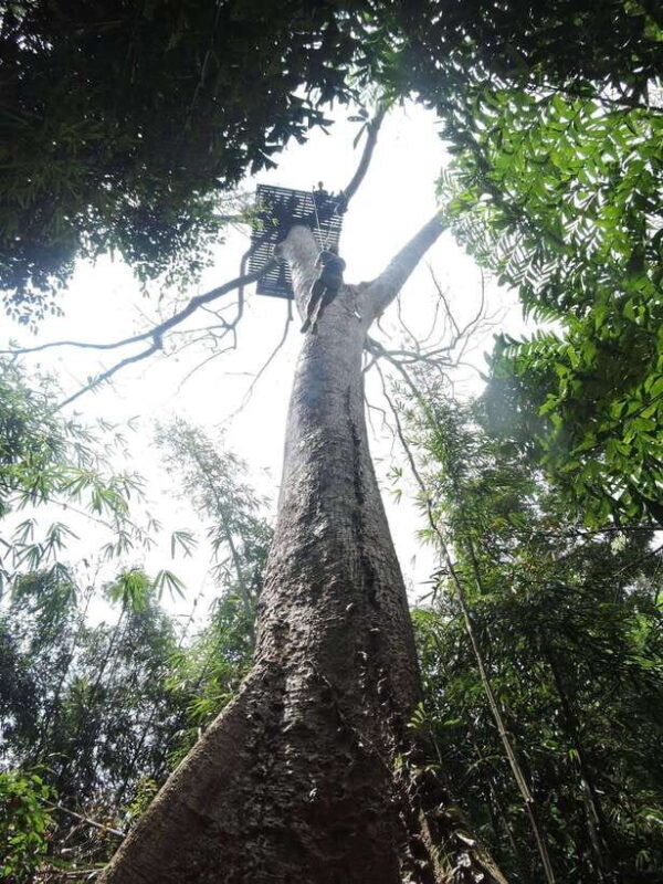 Phuket: Big Buddha Viewpoint ATV Tour and Zipline Adventure - Authentic Experiences from Fellow Travelers