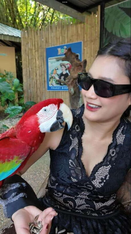 Phuket: Bird Park Entry Ticket - Key Points