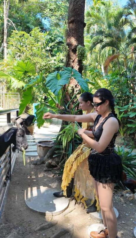 Phuket: Bird Park Entry Ticket - Practical Details and Tips