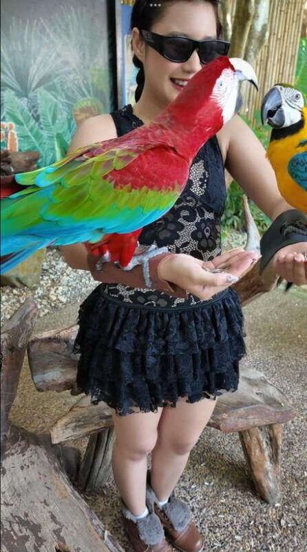 Phuket: Bird Park Entry Ticket - Authentic Experiences and Review Highlights