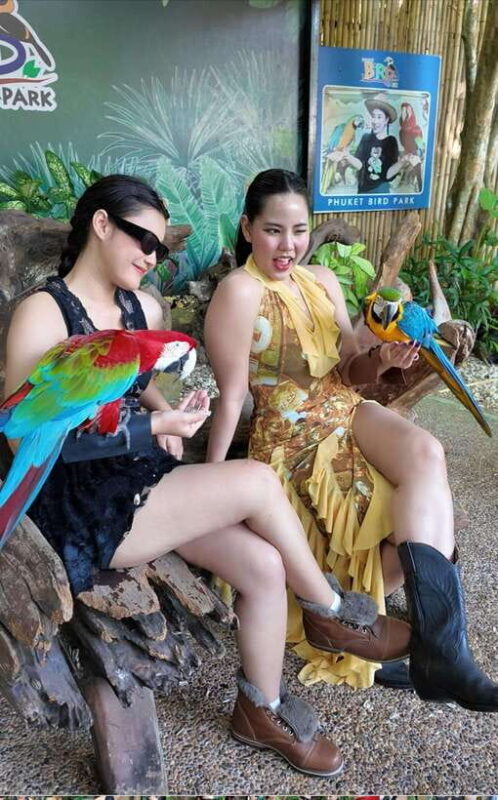Phuket: Bird Park Entry Ticket - FAQ