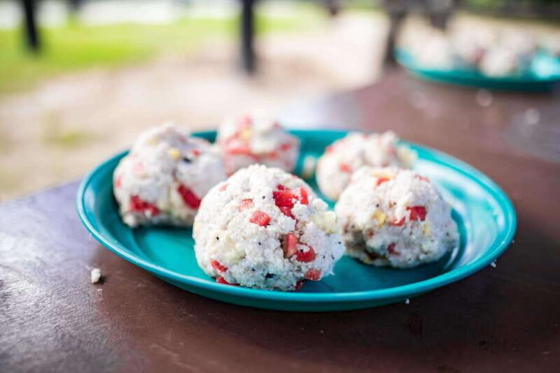 Phuket: Bukit Elephant Park Sanctuary Walk and Feed Tour - A Detailed Look at the Bukit Elephant Park Sanctuary Walk and Feed Tour