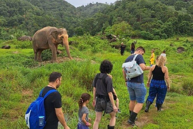 Phuket City Tour & Elephant Sanctuary: Sights, Tastes, Culture - Key Points
