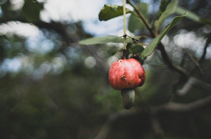 Phuket City Tour Sightseeing and Night Market Everyday - Frequently Asked Questions