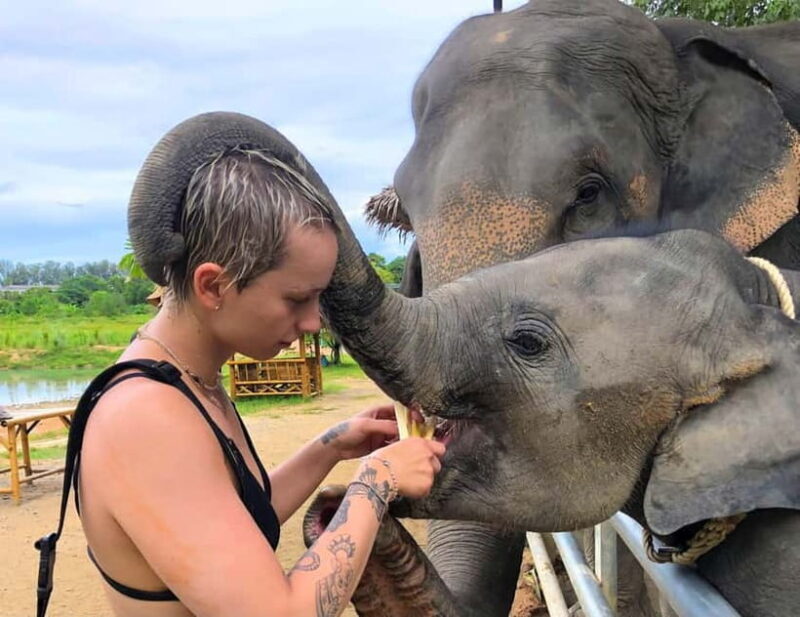 Phuket City Tour with Night Market Visit & Elephant Feeding - A Detailed Look at the Phuket City Tour Experience