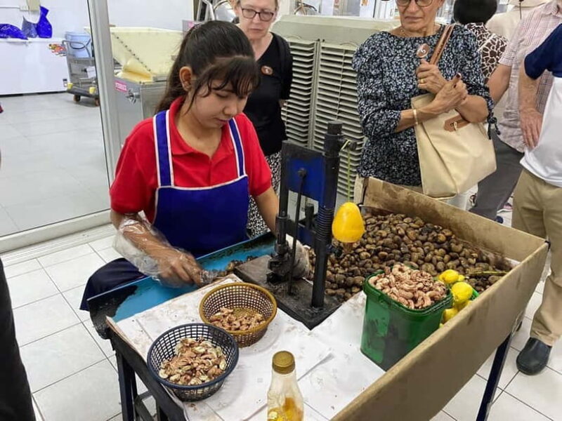 Phuket City Tour with Night Market Visit & Elephant Feeding - Who Will Love This Tour?