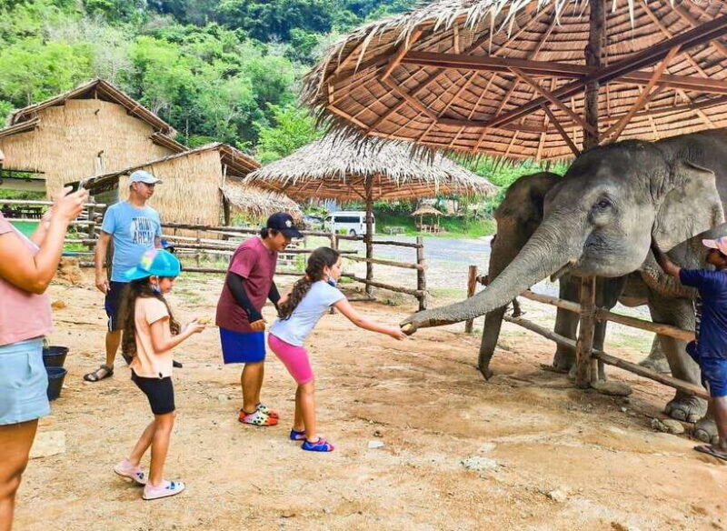 Phuket City Tour with Viewpoints, Temples & Elephant Feeding - An In-Depth Look at What You Can Expect