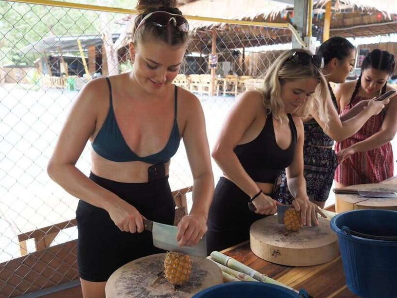 Phuket City Tour with Viewpoints, Temples & Elephant Feeding - Who Should Consider This Tour?