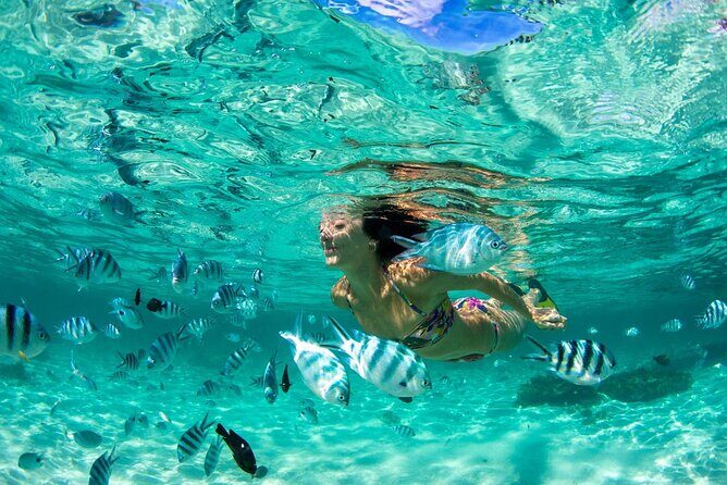 Phuket Coral Island Private Snorkeling Adventure All Inclusive - Phuket Coral Island Private Snorkeling Adventure All Inclusive