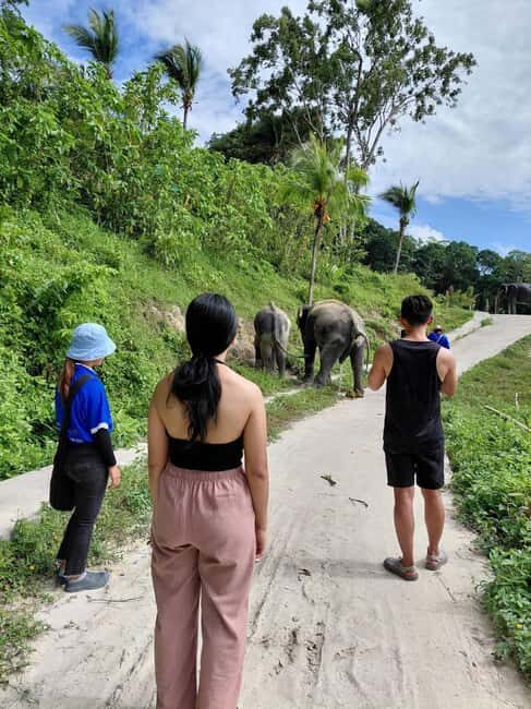 Phuket: Eco Guided Tour at Elephant Sanctuary - An Honest Look at the Phuket Elephant Sanctuary Experience