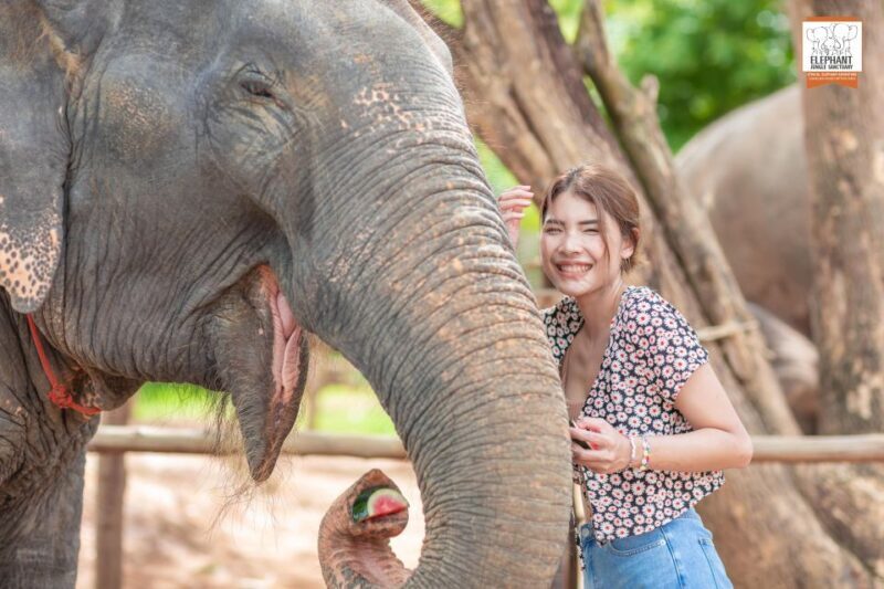 Phuket: Elephant Jungle Sanctuary Ethical Feeding Experience - An in-depth look at the Elephant Jungle Sanctuary Phuket experience