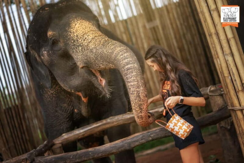 Phuket: Elephant Jungle Sanctuary Ethical Feeding Experience - FAQs