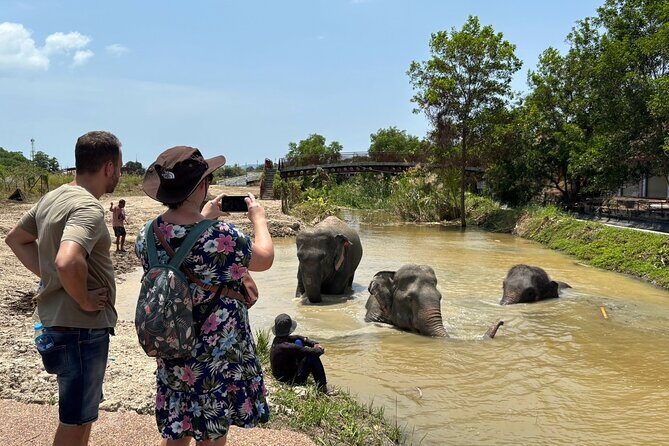 Phuket: Elephant Nature Walk - Guided Tour with Transport - FAQs