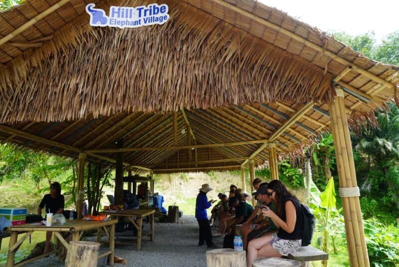 Phuket: Elephant Sanctuary Guided Tour with Hotel Transfers - Key Points