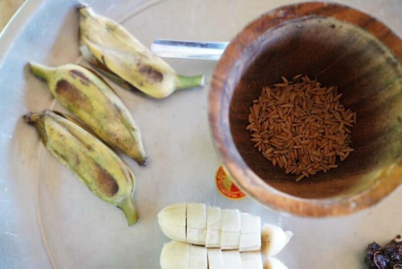 Phuket: Elephant Sanctuary Guided Tour with Hotel Transfers - FAQ