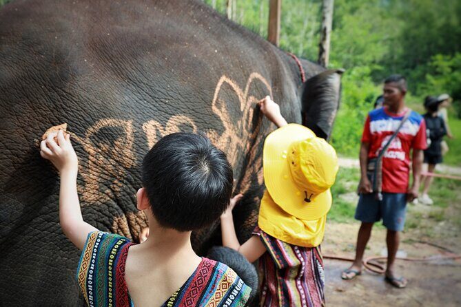 Phuket Ethical Elephant Care Sanctuary Nai Dee Half-Day or 2-Hour - Phuket Ethical Elephant Care Sanctuary Nai Dee Half-Day or 2-Hour: An Authentic and Responsible Encounter with Elephants