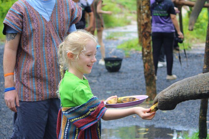 Phuket Ethical Elephant Care Sanctuary Nai Dee Half-Day or 2-Hour - Who Will Love This Tour?