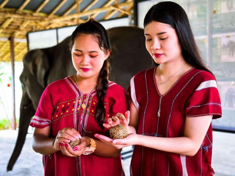 Phuket : Experience feeding and bathing elephants 1.5 Hrs. - What’s Included and What’s Not