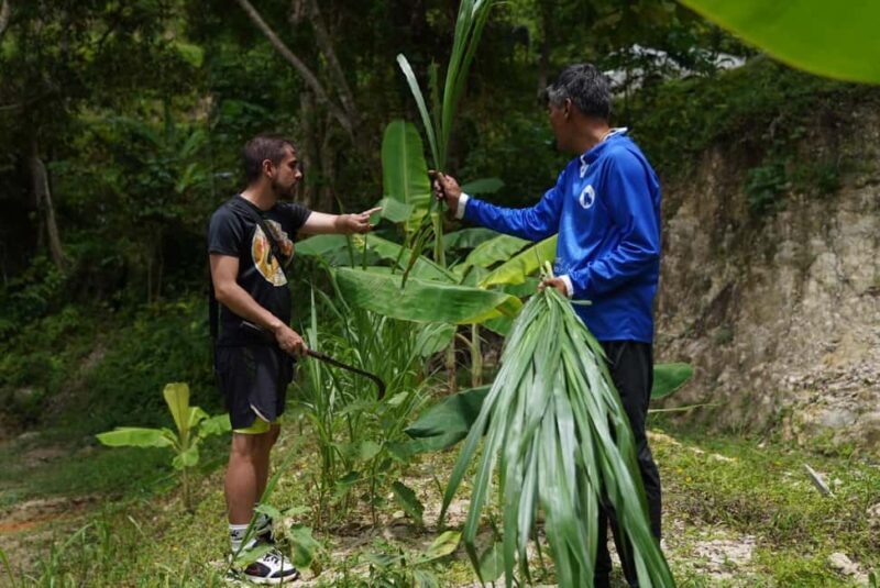 Phuket : Guided Tour to Elephant Sanctuary with Transfers - Final Thoughts: Is It Worth It?