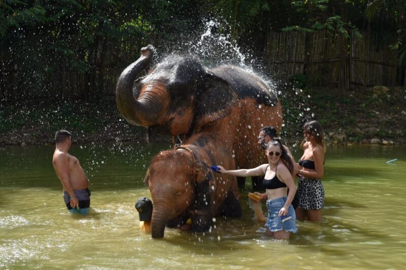 Phuket: Half Day or 2-Hour Ethical Elephant Care Sanctuary - An Honest Look at the Ethical Elephant Experience in Phuket