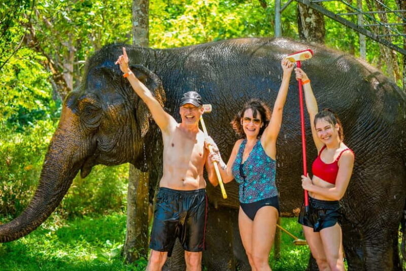 Phuket: Happy Hour Feed and Rain Shower with Elephant - Key Points